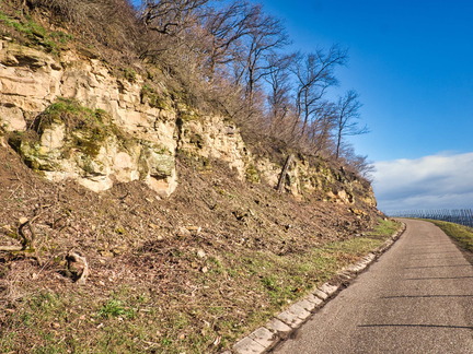 20220207142246-23295cff